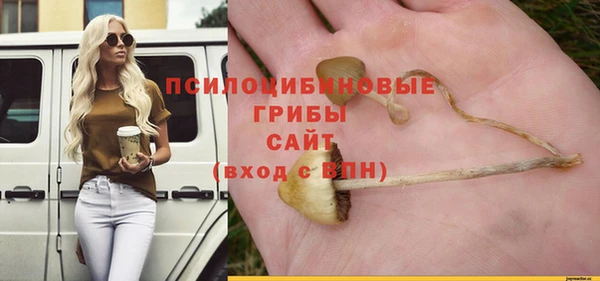 ГАЛЛЮЦИНОГЕННЫЕ ГРИБЫ Алексин