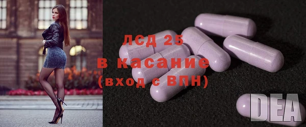 индика Алзамай