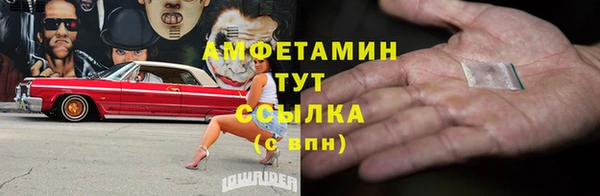 прущие грибы Михайловка