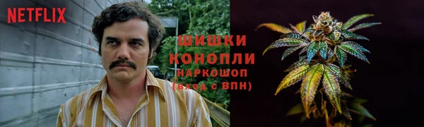 ГАЛЛЮЦИНОГЕННЫЕ ГРИБЫ Алексин
