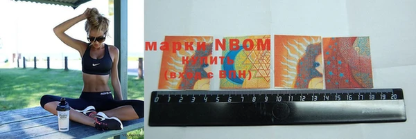 индика Алзамай