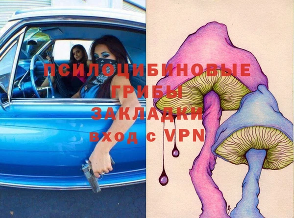ГАЛЛЮЦИНОГЕННЫЕ ГРИБЫ Алексин