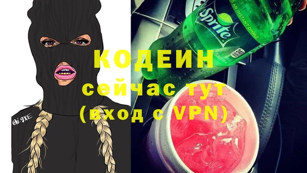 индика Михайлов