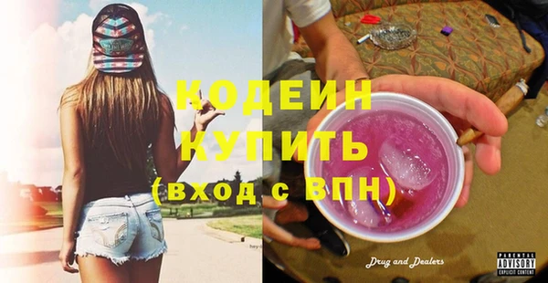 индика Михайлов