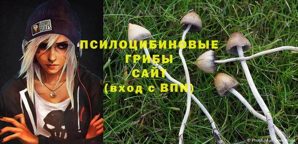 индика Алзамай