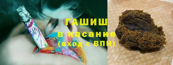 индика Алзамай