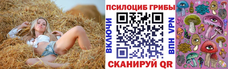 продажа наркотиков  Алупка  Псилоцибиновые грибы GOLDEN TEACHER 